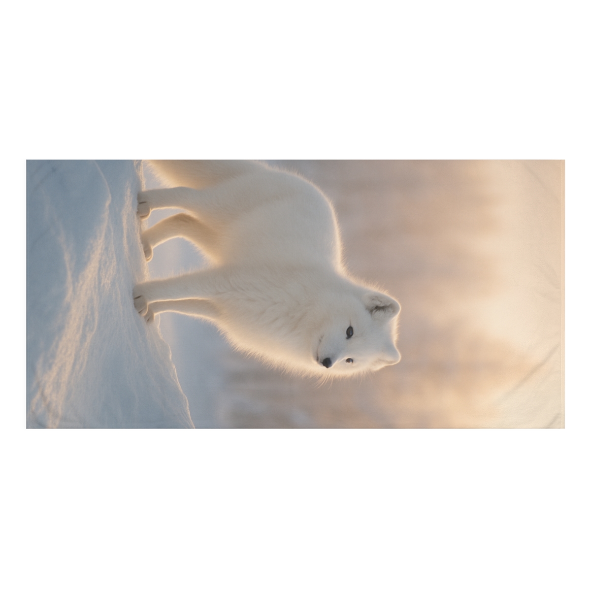 Whispering Guardian Arctic Fox personalized bath towels