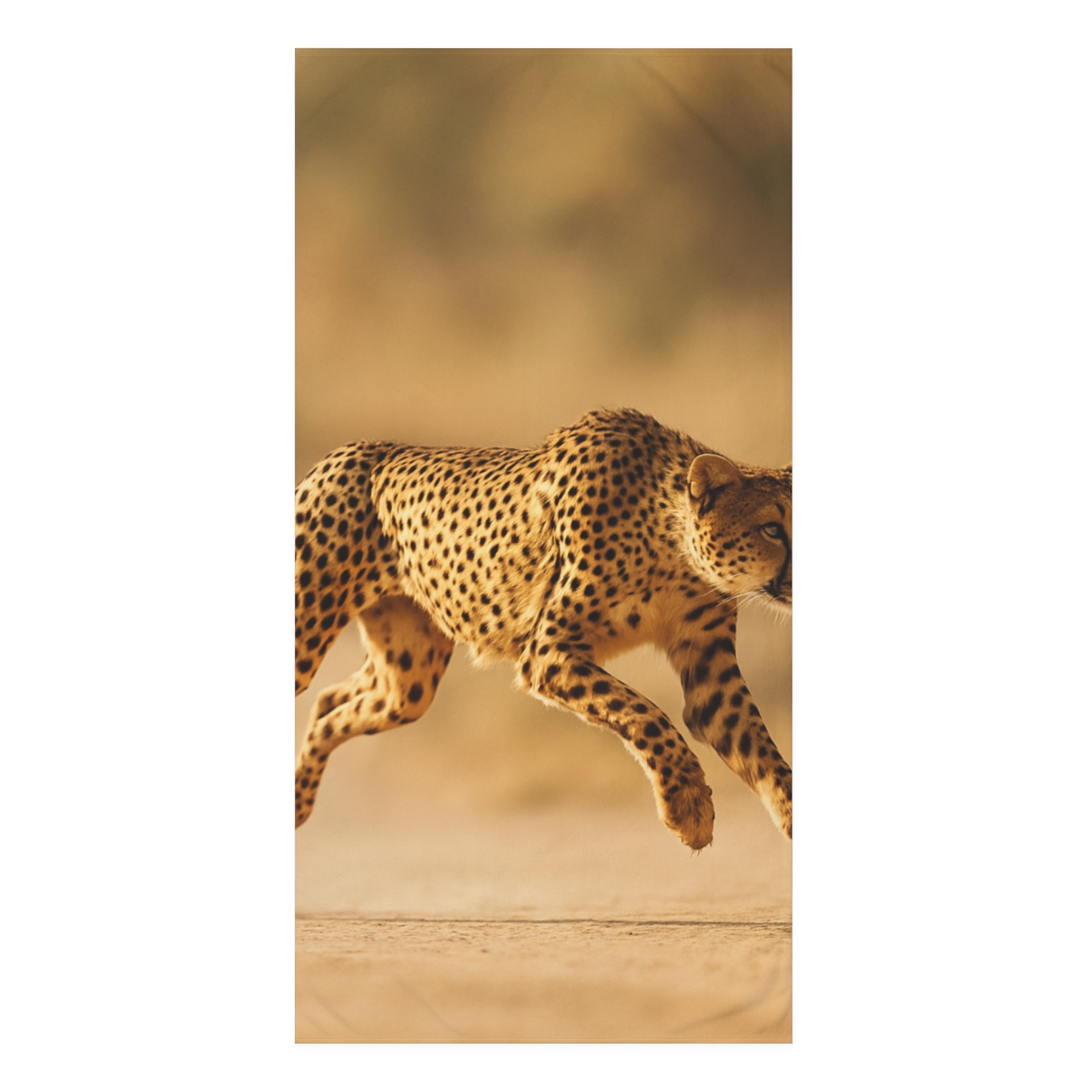 Wind Chase Cheetah unique gift towels