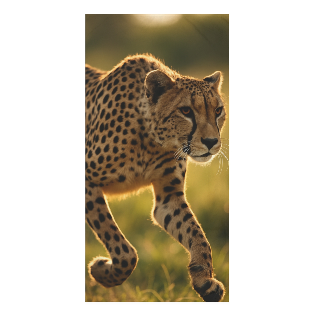 Wind Runner Cheetah designer printed towels