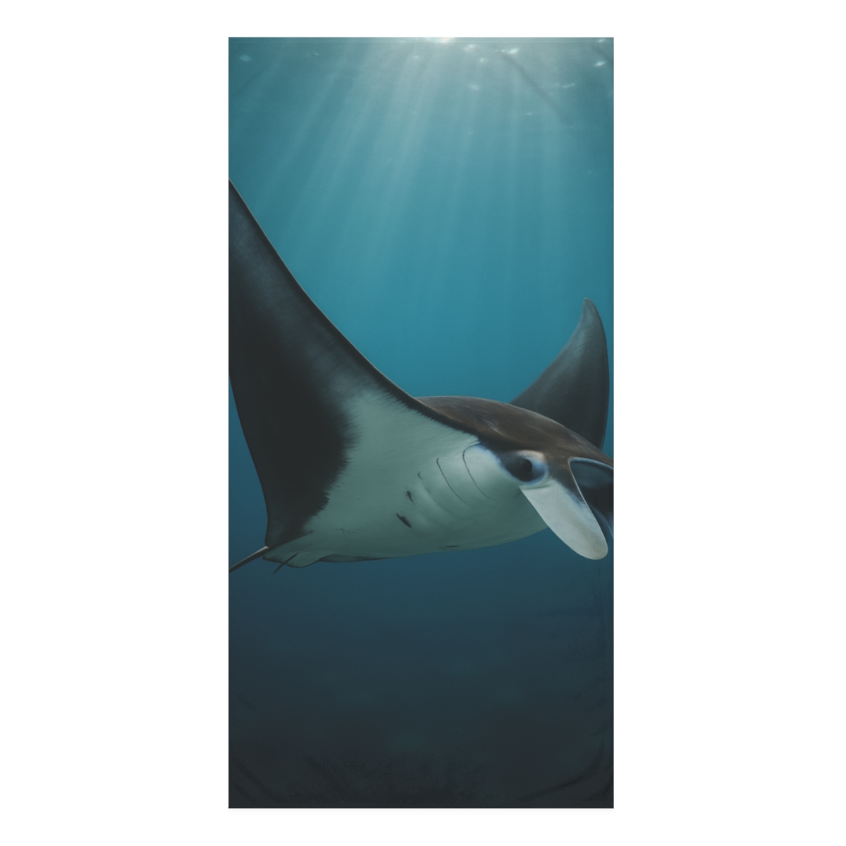 Winged Eclipse Manta Ray comfortable face towels