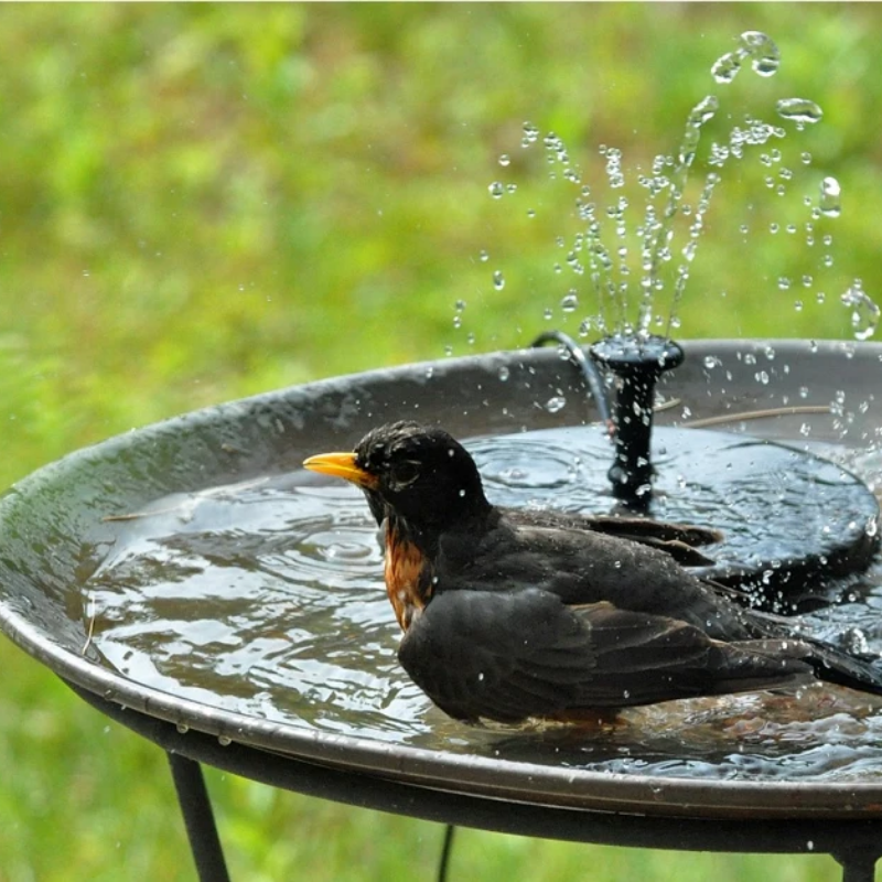 Solar Powered Fountain-LED Solar Fairy Lights