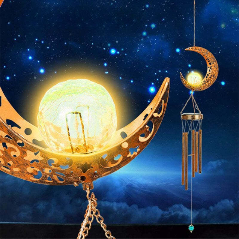 Decorative Outdoor LED Light-LED Solar Fairy Lights