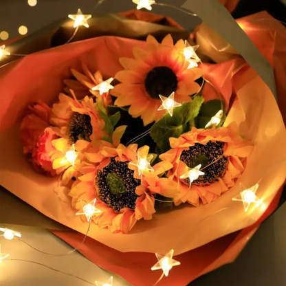 Starry Night LED String Lights For Decoration