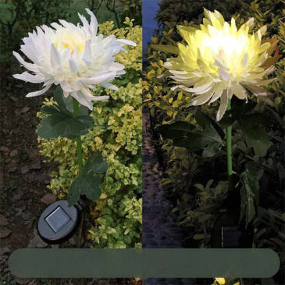 Outdoor Garden Flower Light-LED Solar Fairy Lights