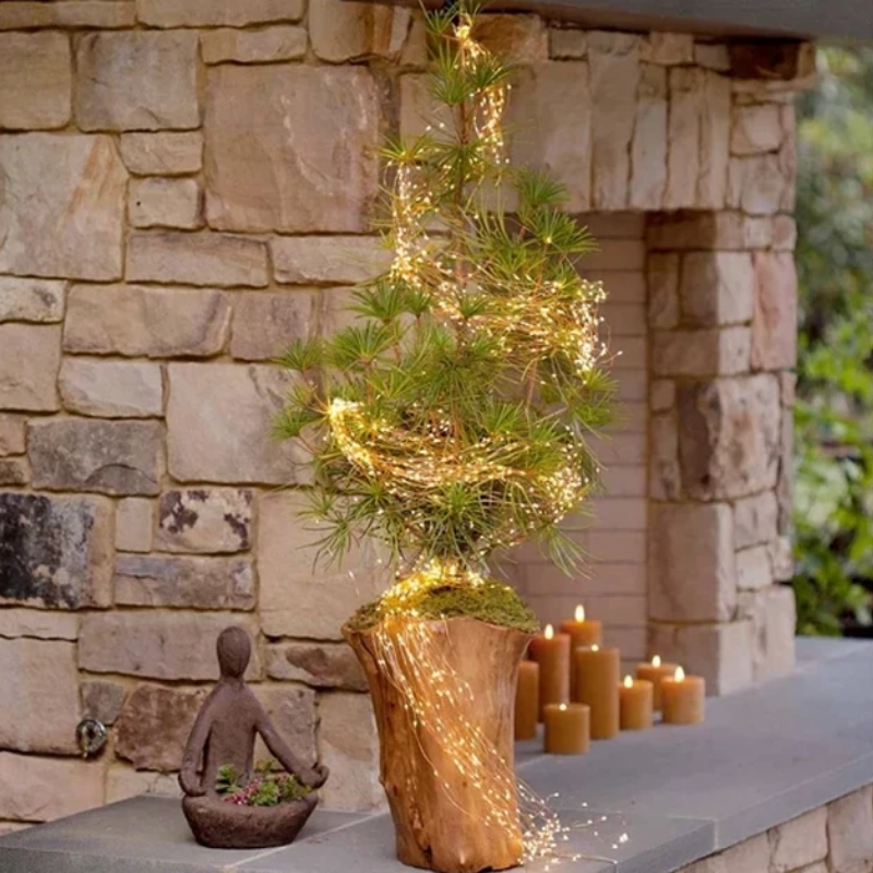 Firefly Bunch Lights-LED Solar Fairy Lights