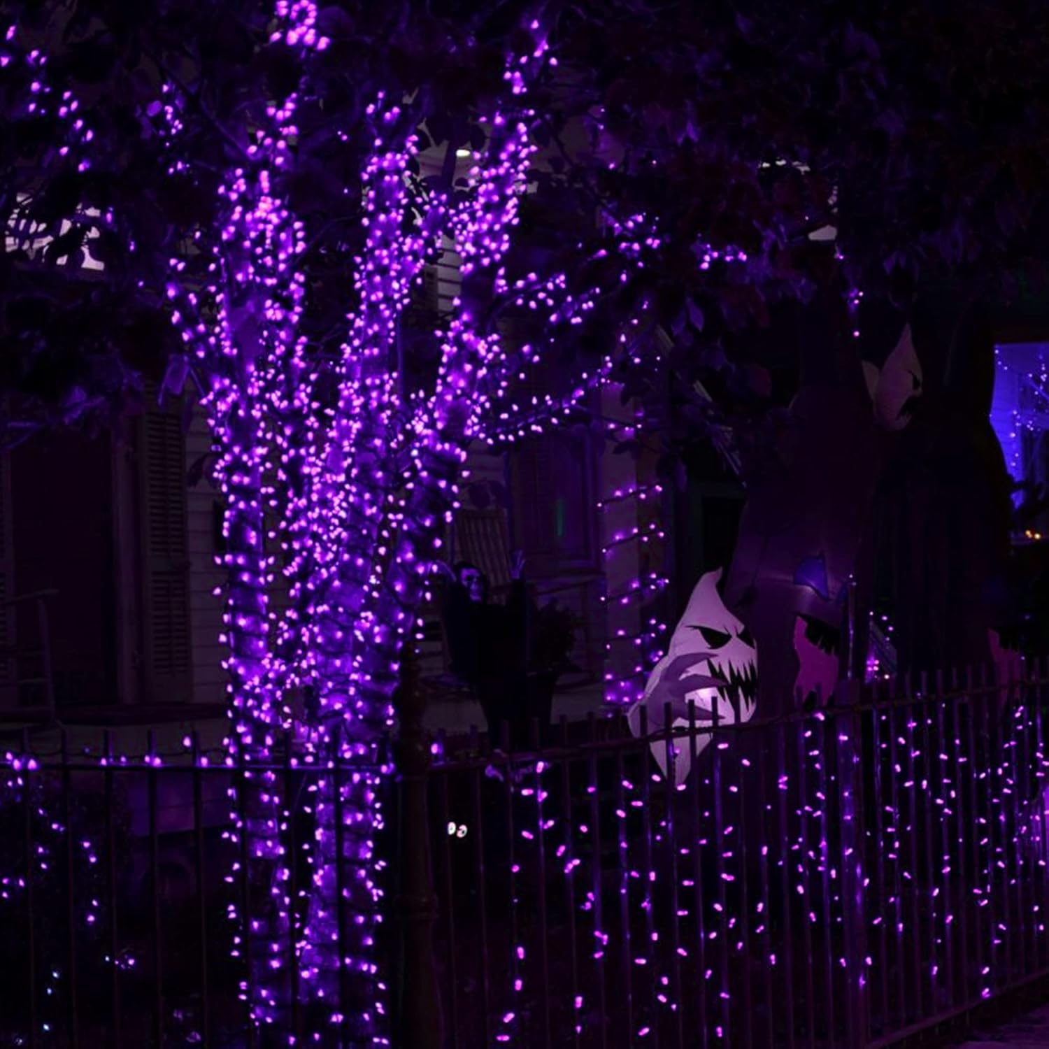 Halloween Fairy String Lights