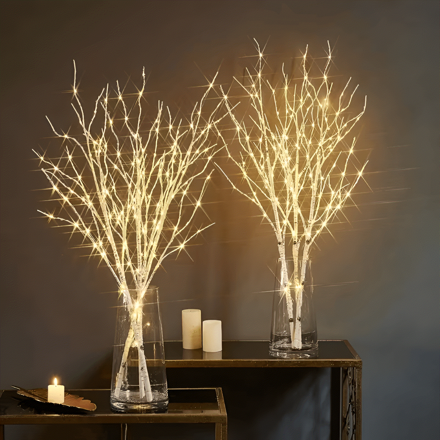 Illuminated Birch Branch LED Lights
