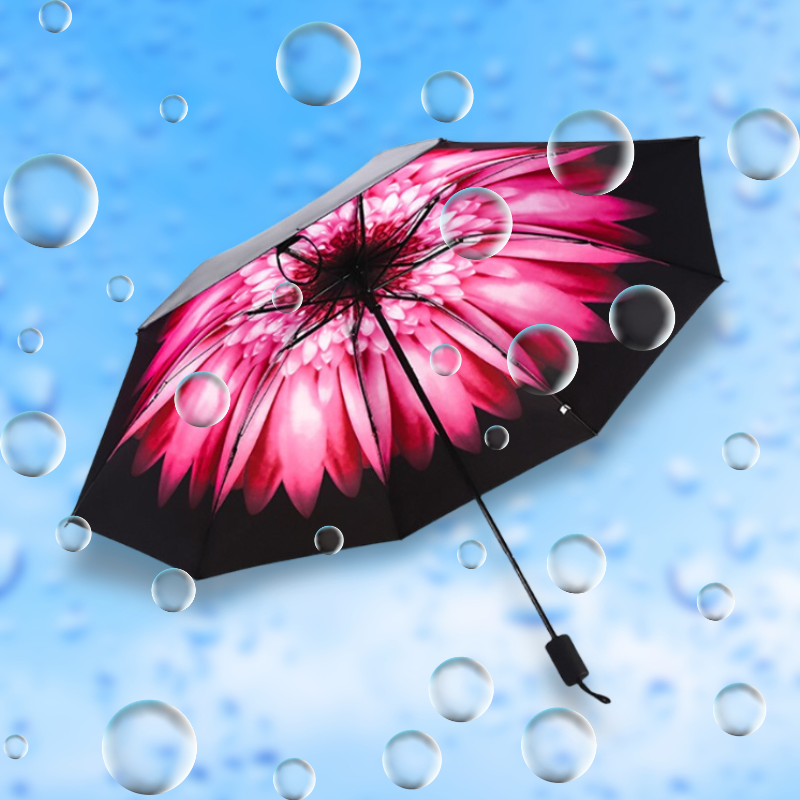Women's Umbrella