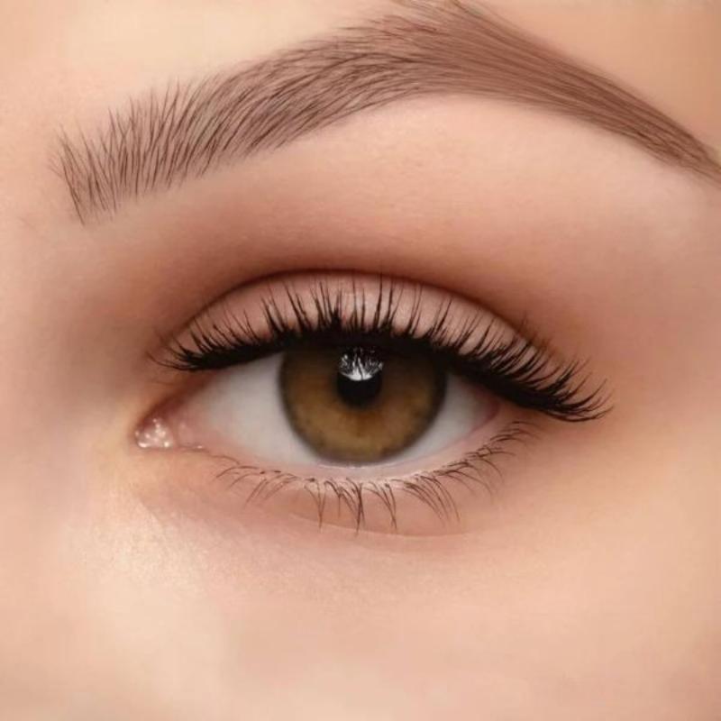 Magnetic Lashes Applicator – The Ultimate No Glue Eyelash Kit-My Makeup Brushset