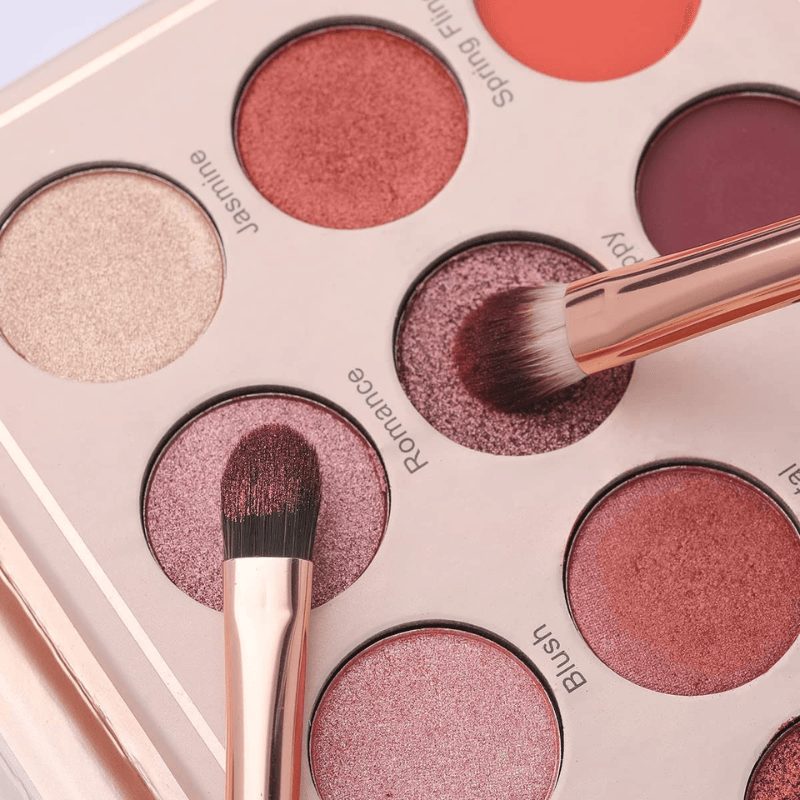 6 Piece Makeup Brush Set For Blending Concealing And Eyelining-My Makeup Brushset