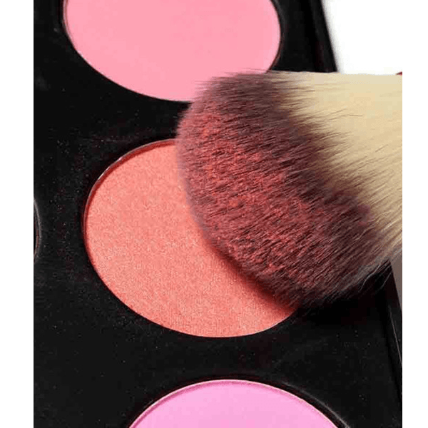 24 Piece Fierce Tiger Brush Set – Professional Makeup Beauty-My Makeup Brushset