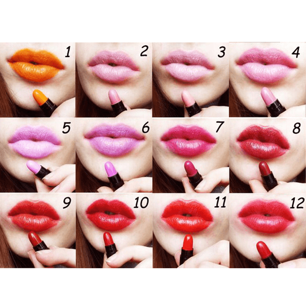 12 Color Lipstick Set – Bold, Vibrant Shades for Every Look-My Makeup Brushset