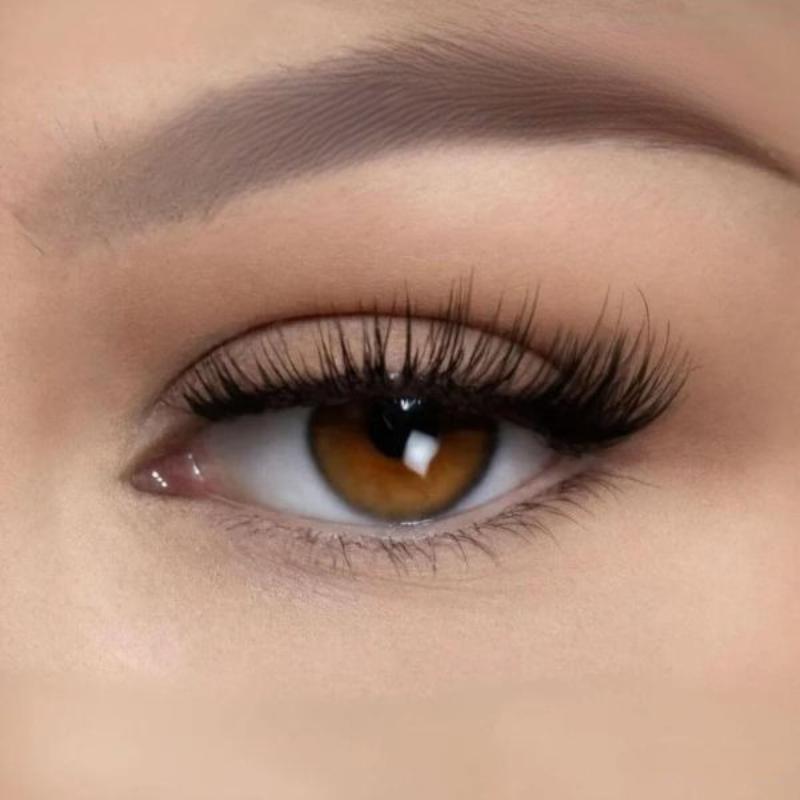 Magnetic Lashes Applicator – The Ultimate No Glue Eyelash Kit-My Makeup Brushset