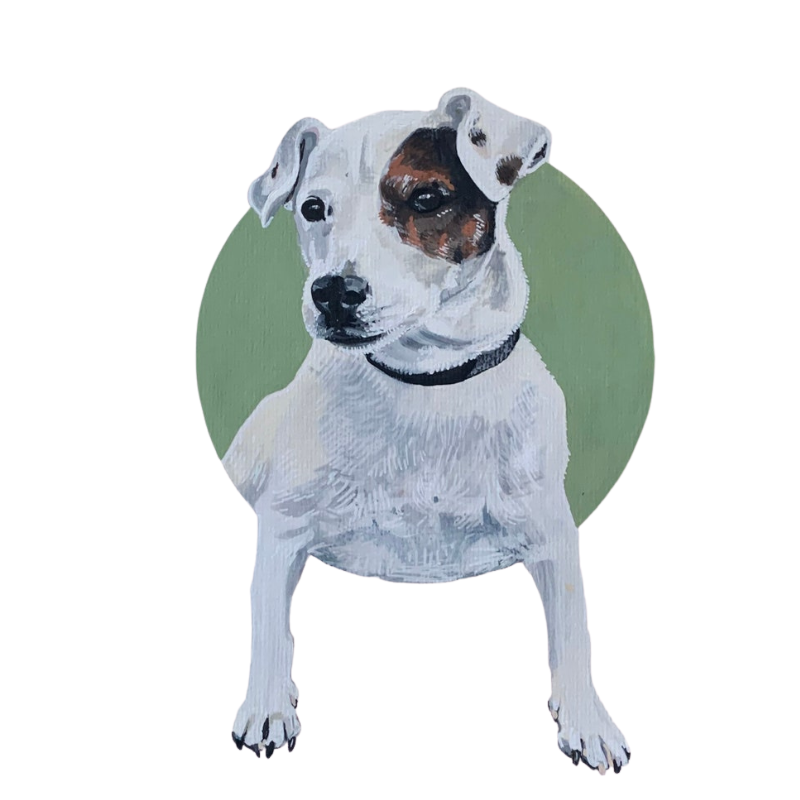 Custom Pet Portrait Paint By Numbers Kit For Valentines day