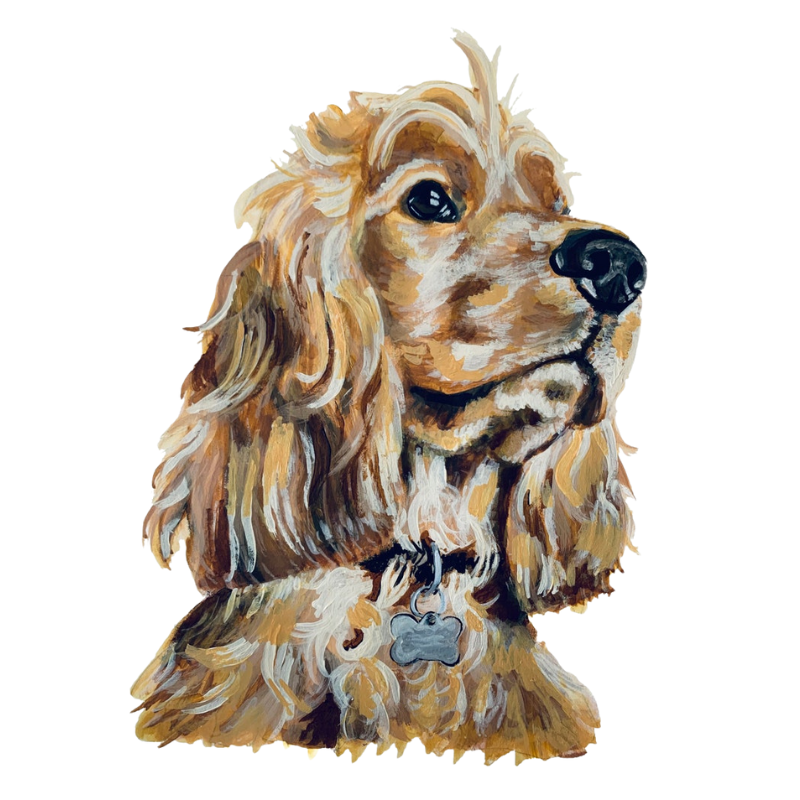Custom Pet Portrait Paint By Numbers Kit For Valentines day