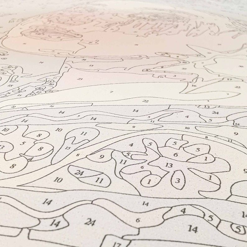 Custom Paint By Numbers Kit