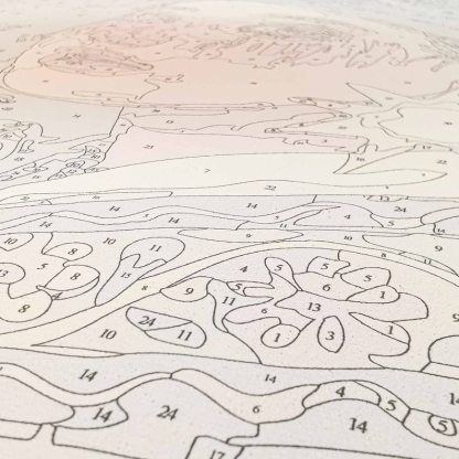 Custom Paint By Numbers Kit