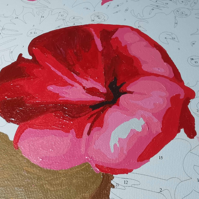 Custom Paint By Numbers Kit 