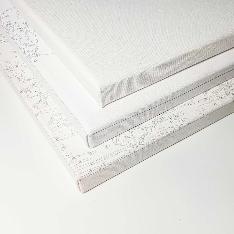 Custom Paint By Numbers Kit