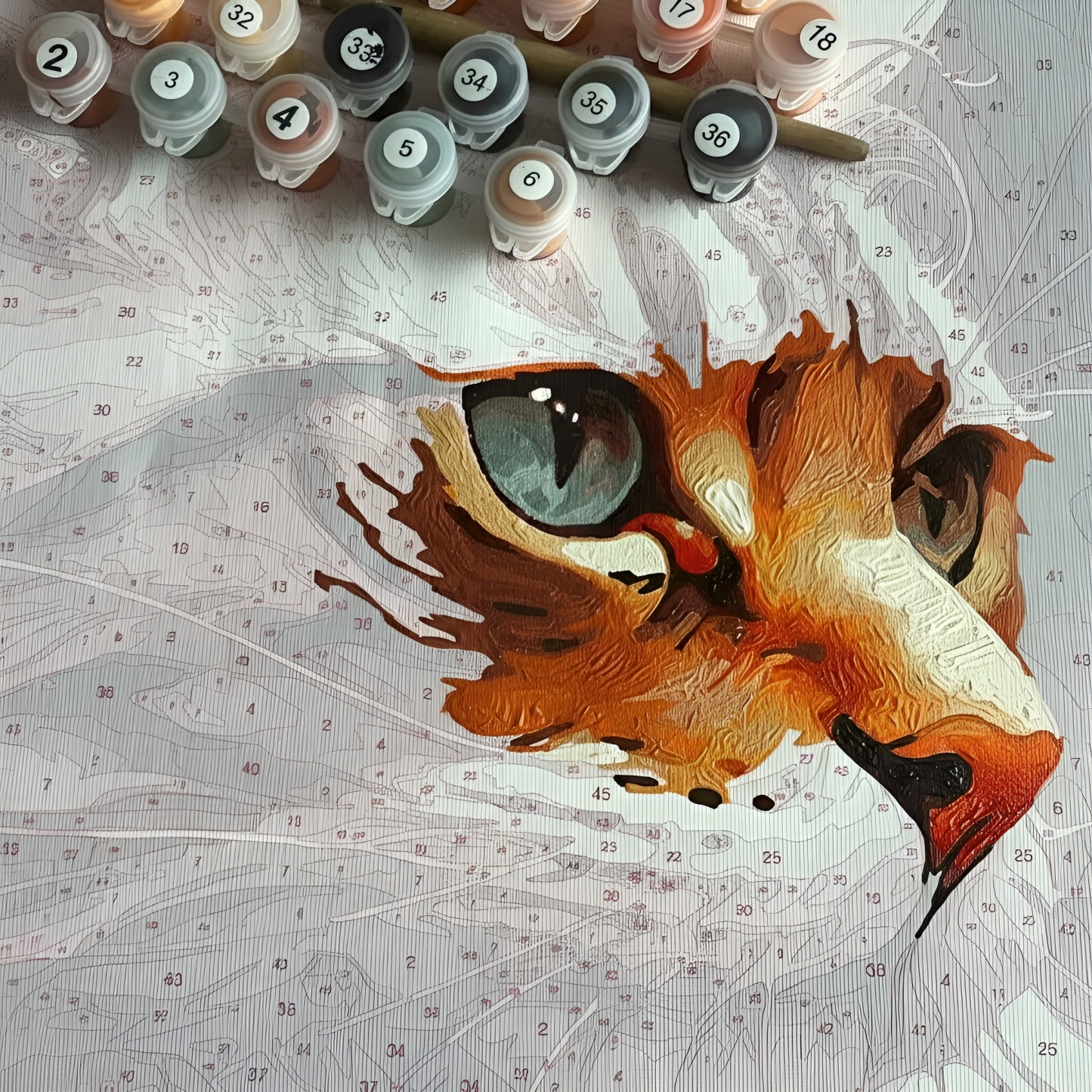 Personalized Photo Paint By Number Canvas