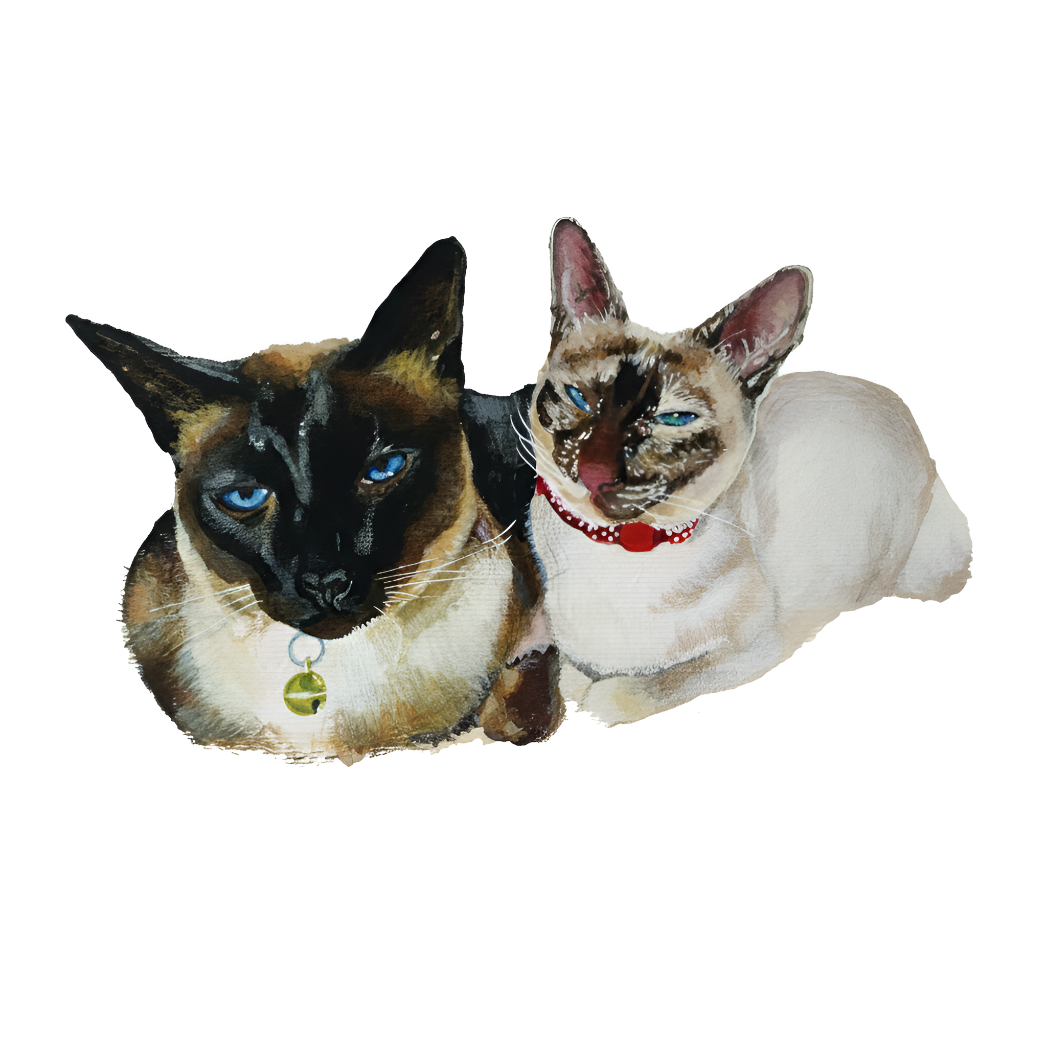 Custom Pet Portrait Paint By Numbers Kit For Valentines day