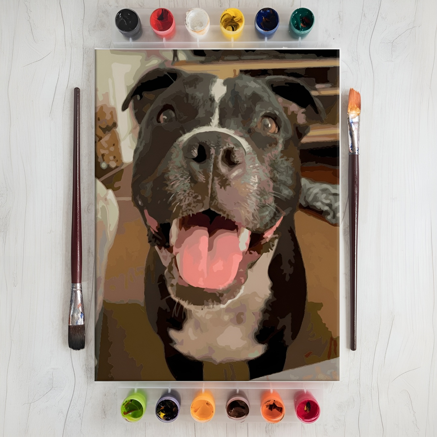 Personalized Photo Paint By Number Canvas