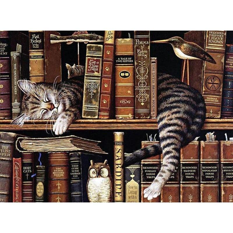 Bookcase Cat 5D DIY Paint By Diamond Kit - Paint by Diamond