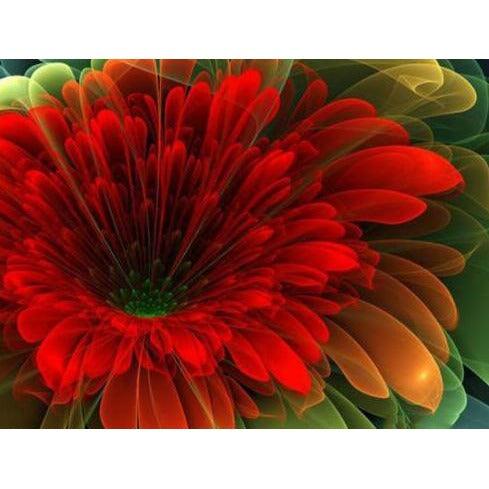 Red Daisy 5D DIY Paint By Diamond Kit - Paint by Diamond