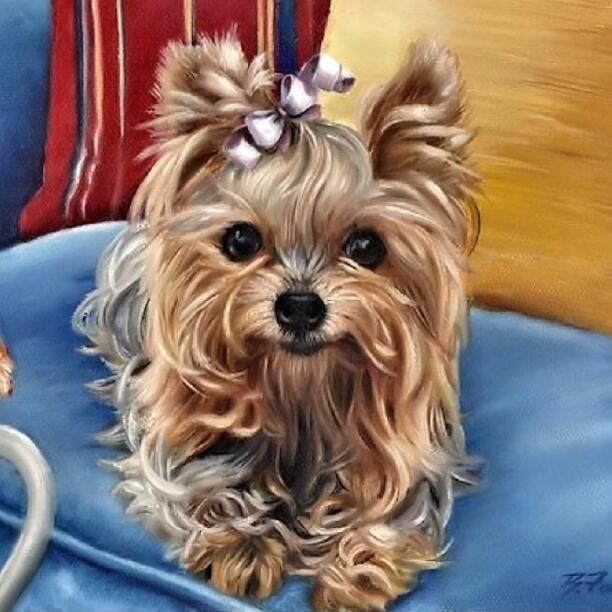 Animal Cute Puppy 5D DIY Paint By Diamond Kit – Original Paint By Diamond