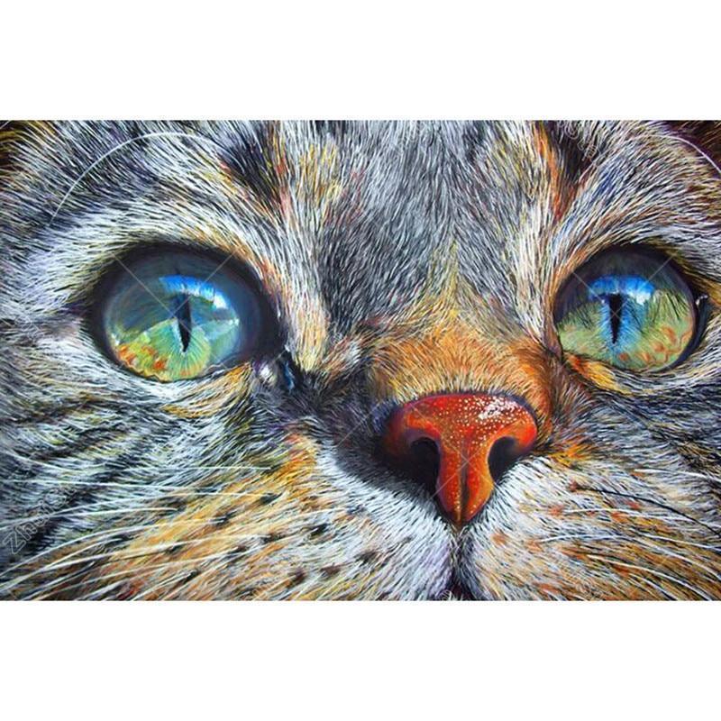 Cat face Closeup 5D DIY Paint By Diamond Kit - Paint by Diamond