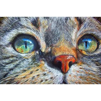 Cat face Closeup 5D DIY Paint By Diamond Kit - Paint by Diamond