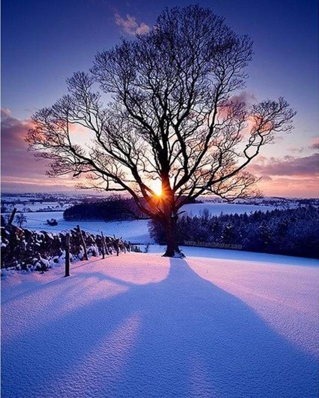 Winter Morning 5D DIY Paint By Diamond Kit - Paint by Diamond