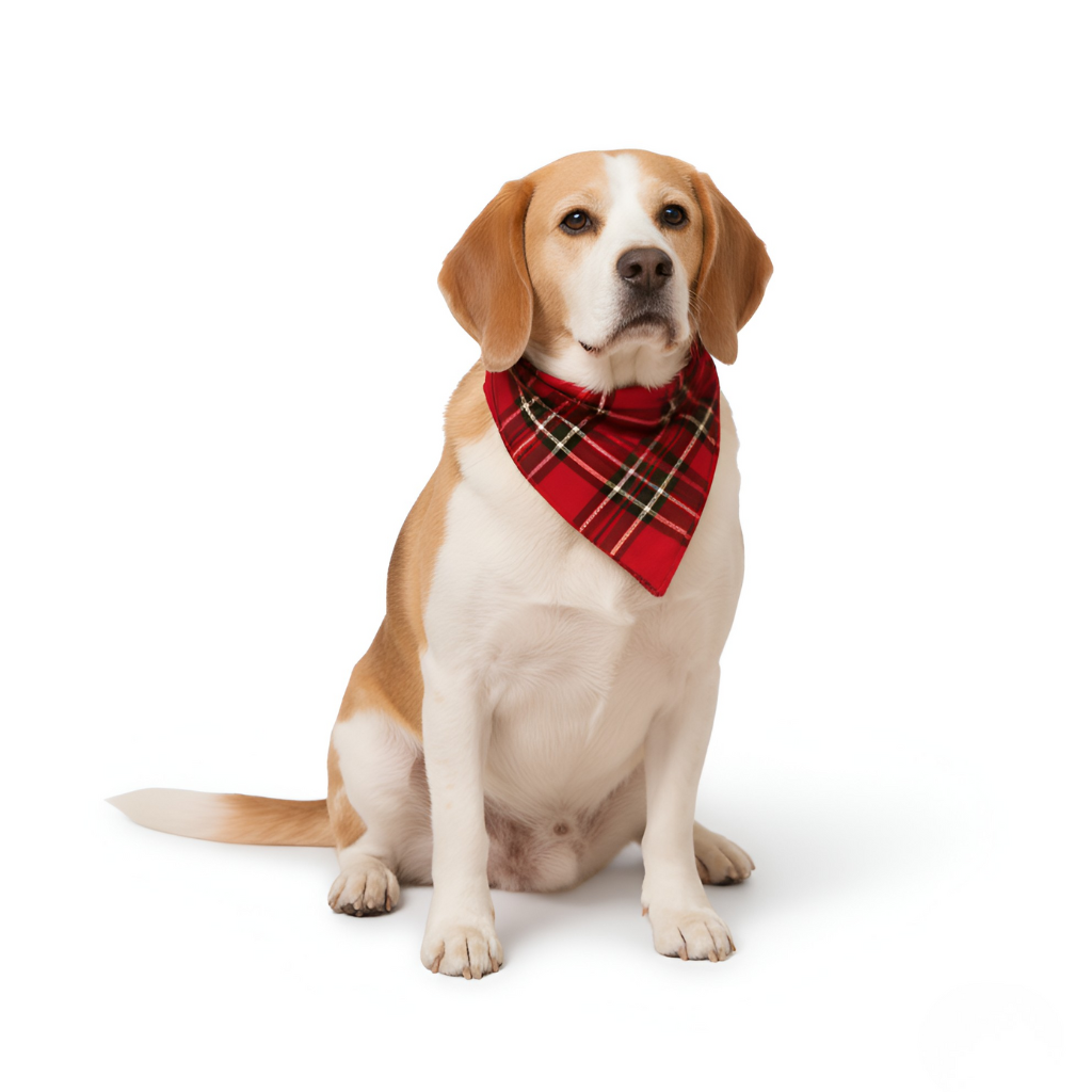 Christmas Family Matching Pajamas Set Reindeer Plaid Sleepwear OutfitsMerry Christmas Reindeer and Snowflake Print Pajama Set With Plaid Pants - Image 6