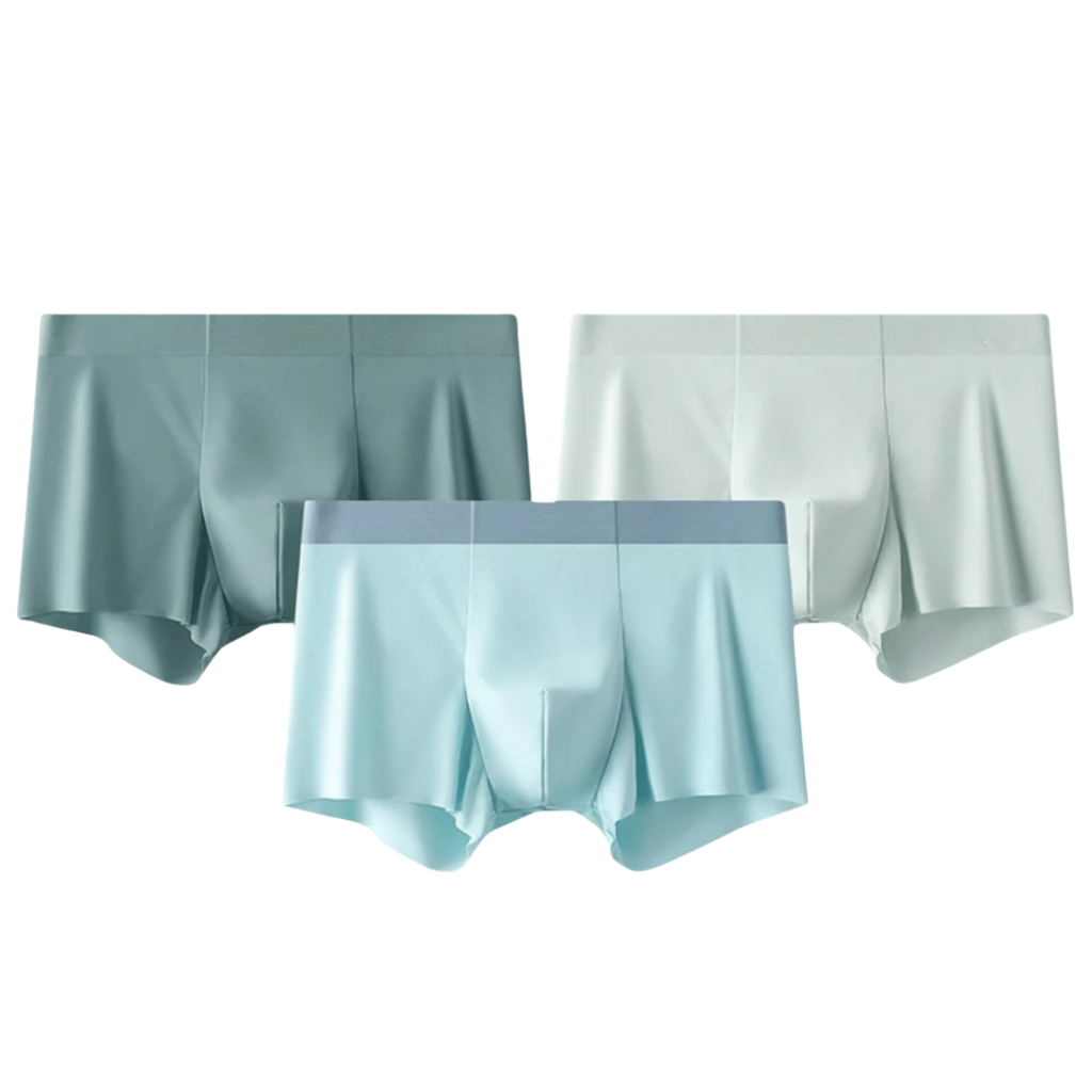 Pack Of 3 Men Briefs Silk Ice Anti Static Cut Boxer