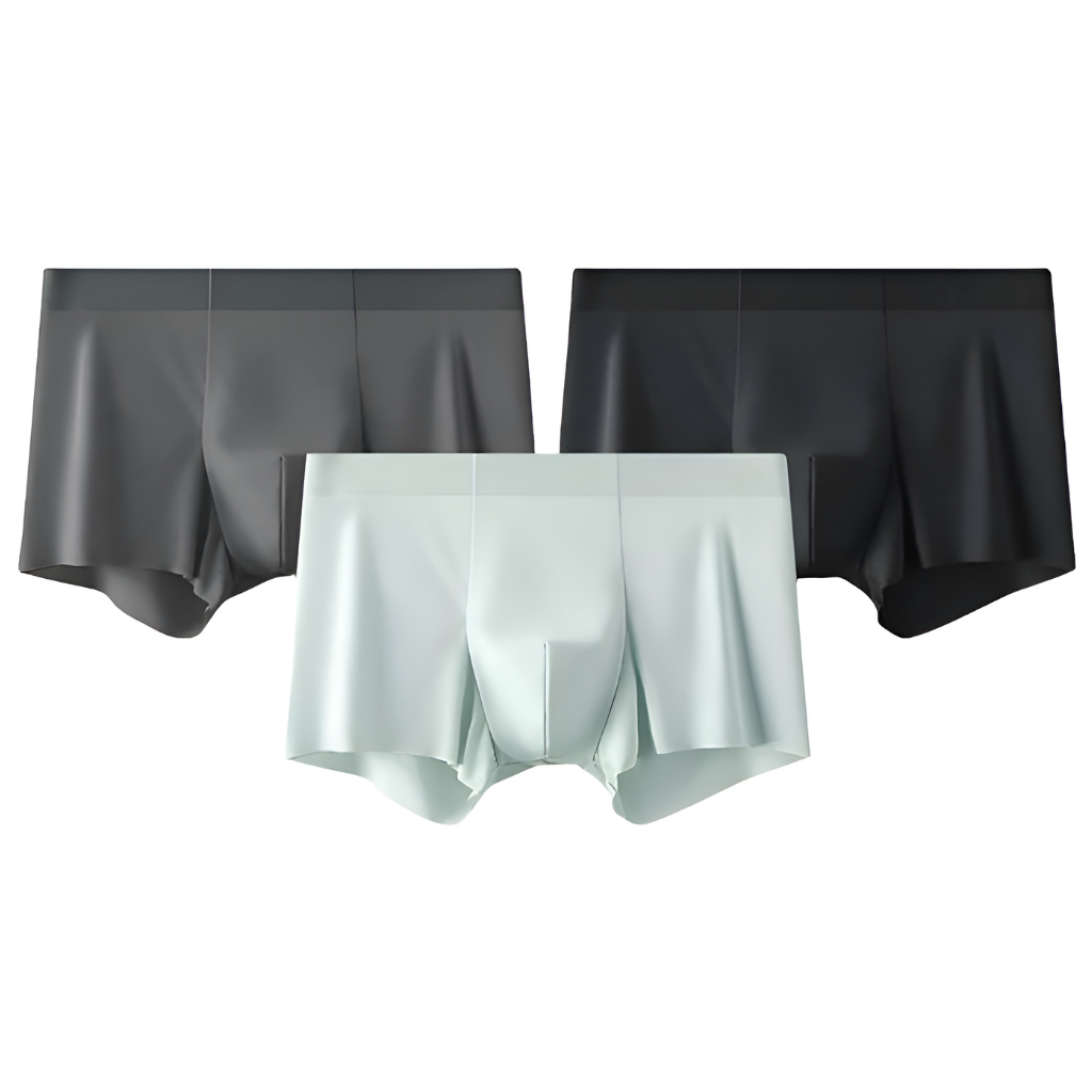 Pack Of 3 Men Briefs Silk Ice Anti Static Cut Boxer