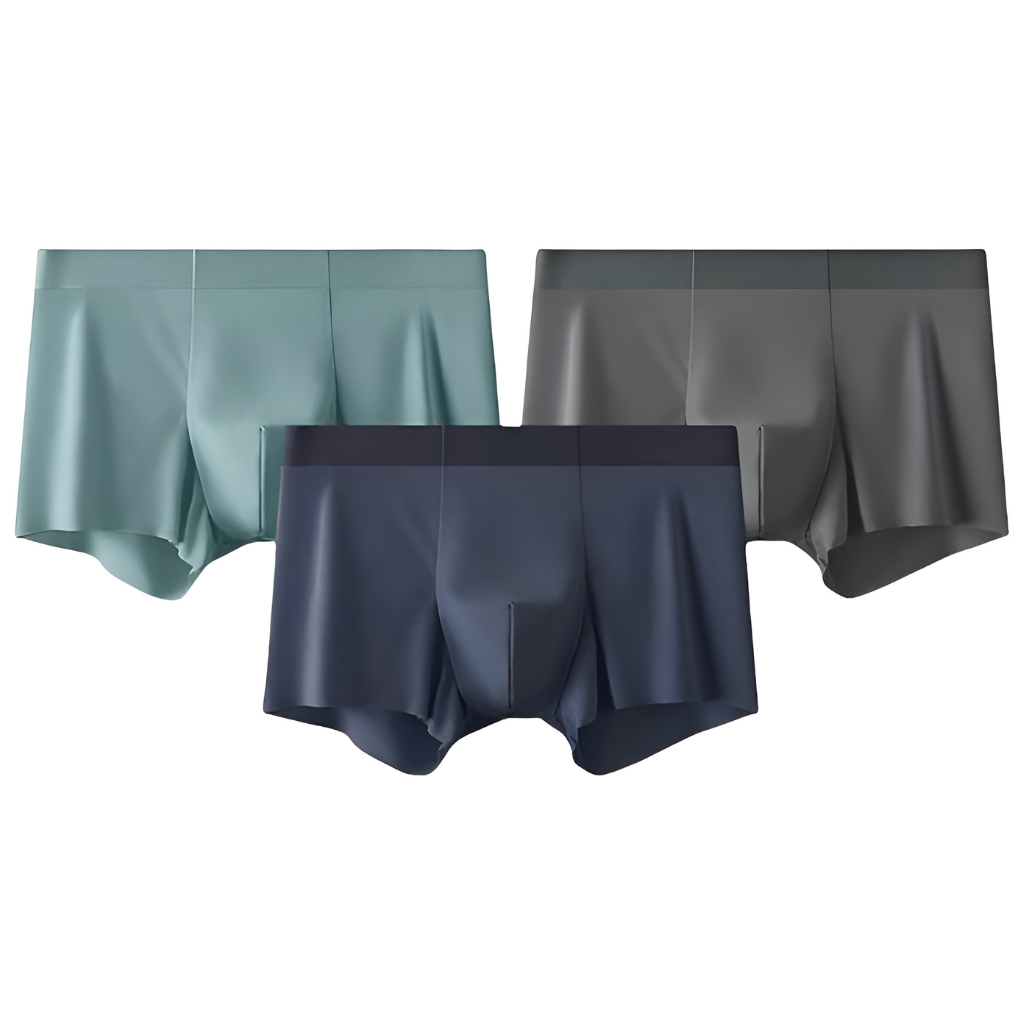 Pack Of 3 Men Briefs Silk Ice Anti Static Cut Boxer