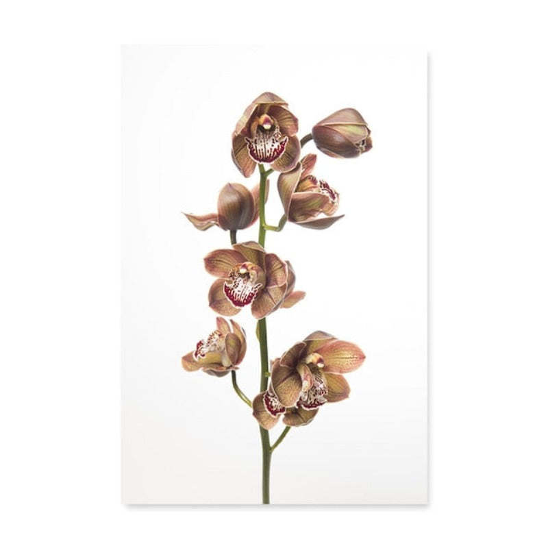 Modern Dried Flowers - Canvas Wall Art Painting-Original Wall Arts