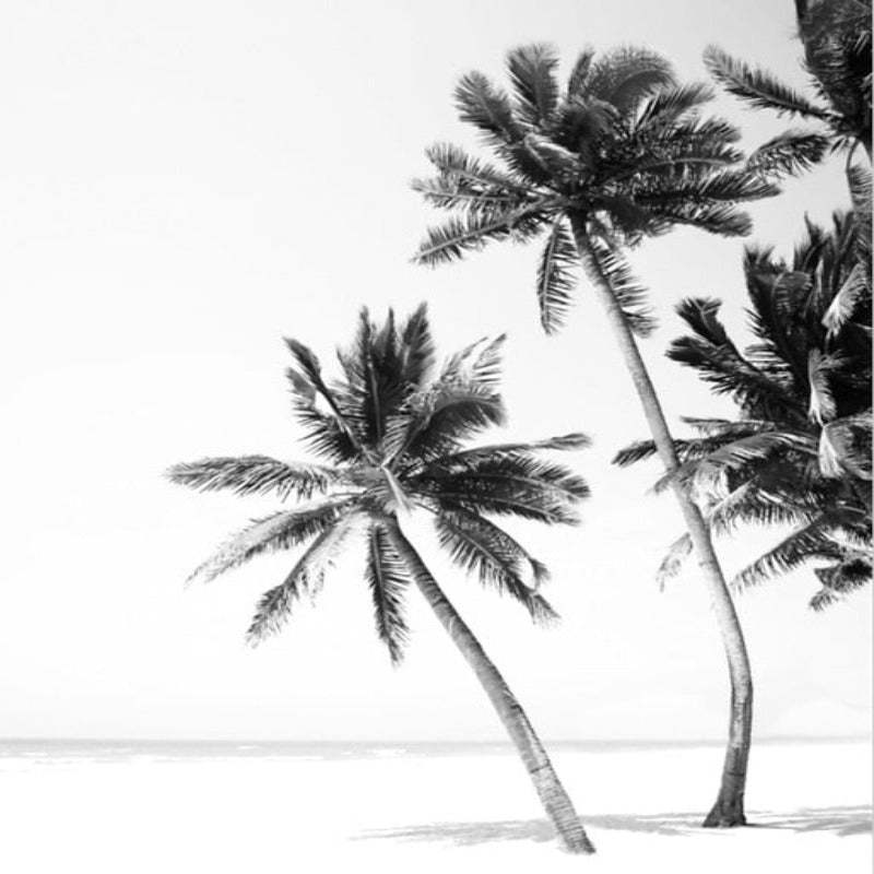 Modern Palm Coconut Tree Prints Black - Canvas Wall Art Painting-Original Wall Arts