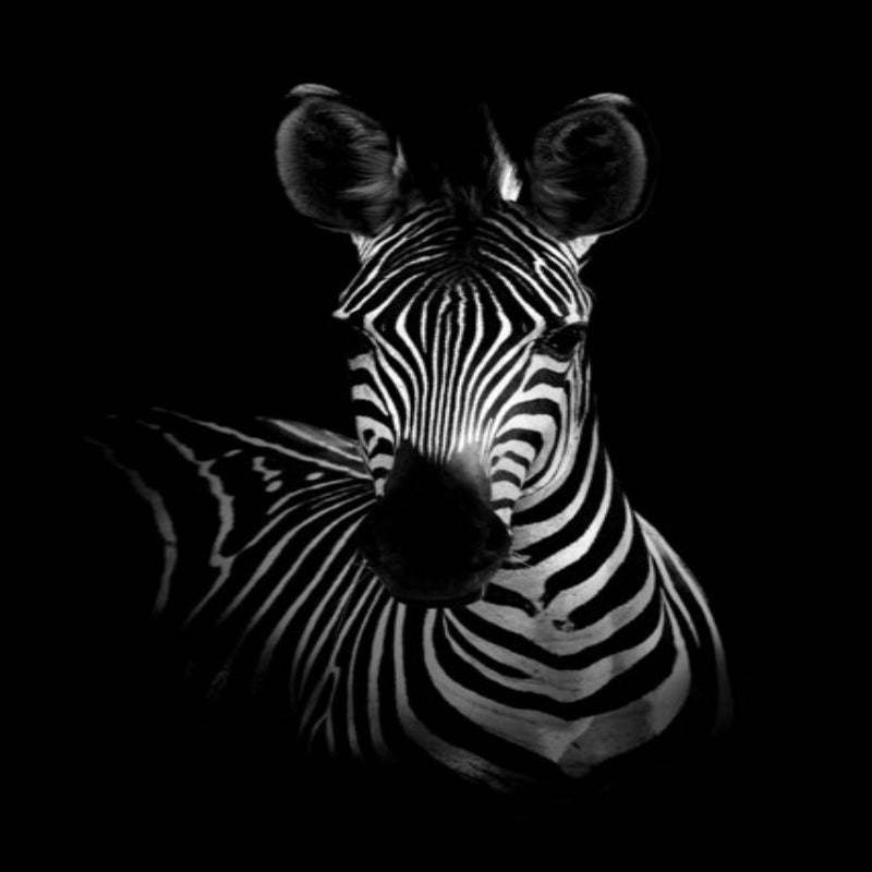 Nature Wildlife Africa Wild Animals Black White  - Canvas Wall Art Painting-Original Wall Arts