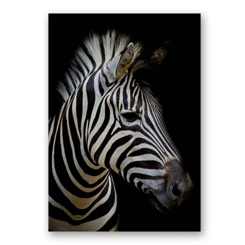 Nature Wildlife Africa Wild Animals Black White  - Canvas Wall Art Painting-Original Wall Arts