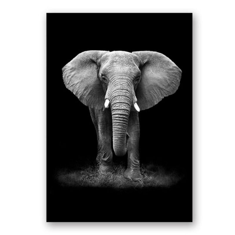 Nature Wildlife Africa Wild Animals Black White  - Canvas Wall Art Painting-Original Wall Arts