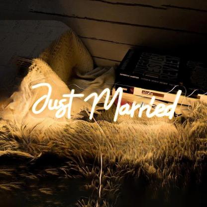 Luminous Expressions Neon LED  Personalized Mirror Just Married  