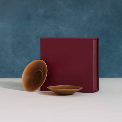 Sticky Circle Bra Pads