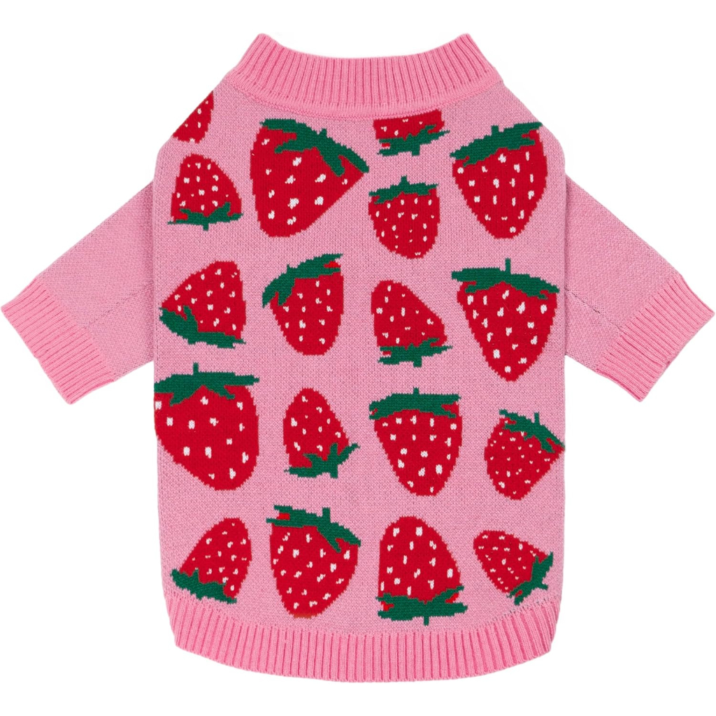 Valentines Dog Sweater Warm Winter Outfit