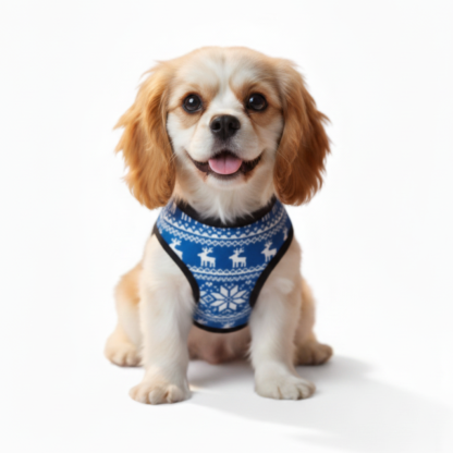 Family Christmas Matching Pajama Set