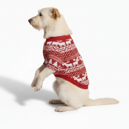 Festive Snowflake Printed Family Matching Christmas Pajama Set