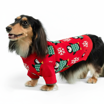 Valentines Dog Sweater Warm Winter Outfit