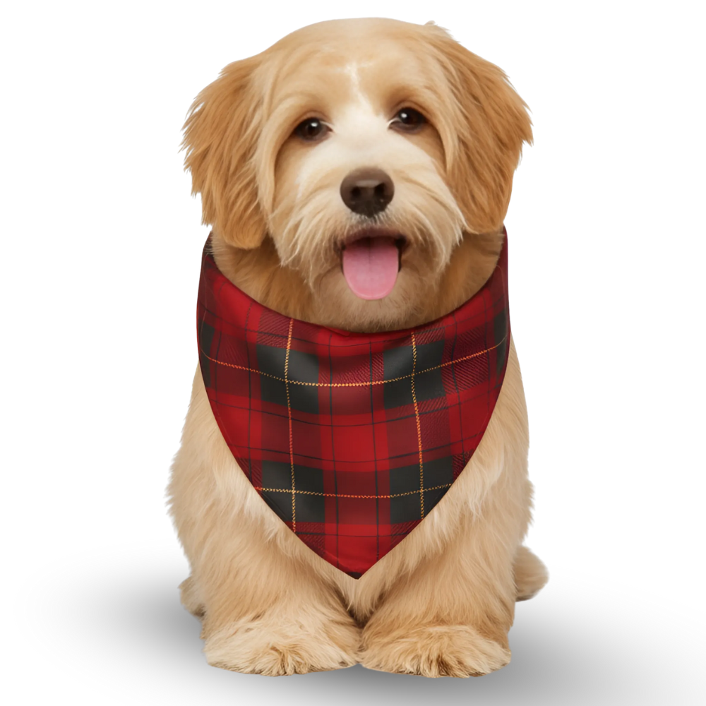 Crazy Christmas Printed Design Family Matching Pajama Sets