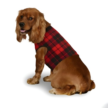 Plaid Santa Hat Christmas Crew Printed Family Matching Pajama Set