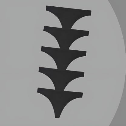 Soft Mesh Thong Underwear Set